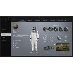 PS4 Gran Turismo Sport - Usato
